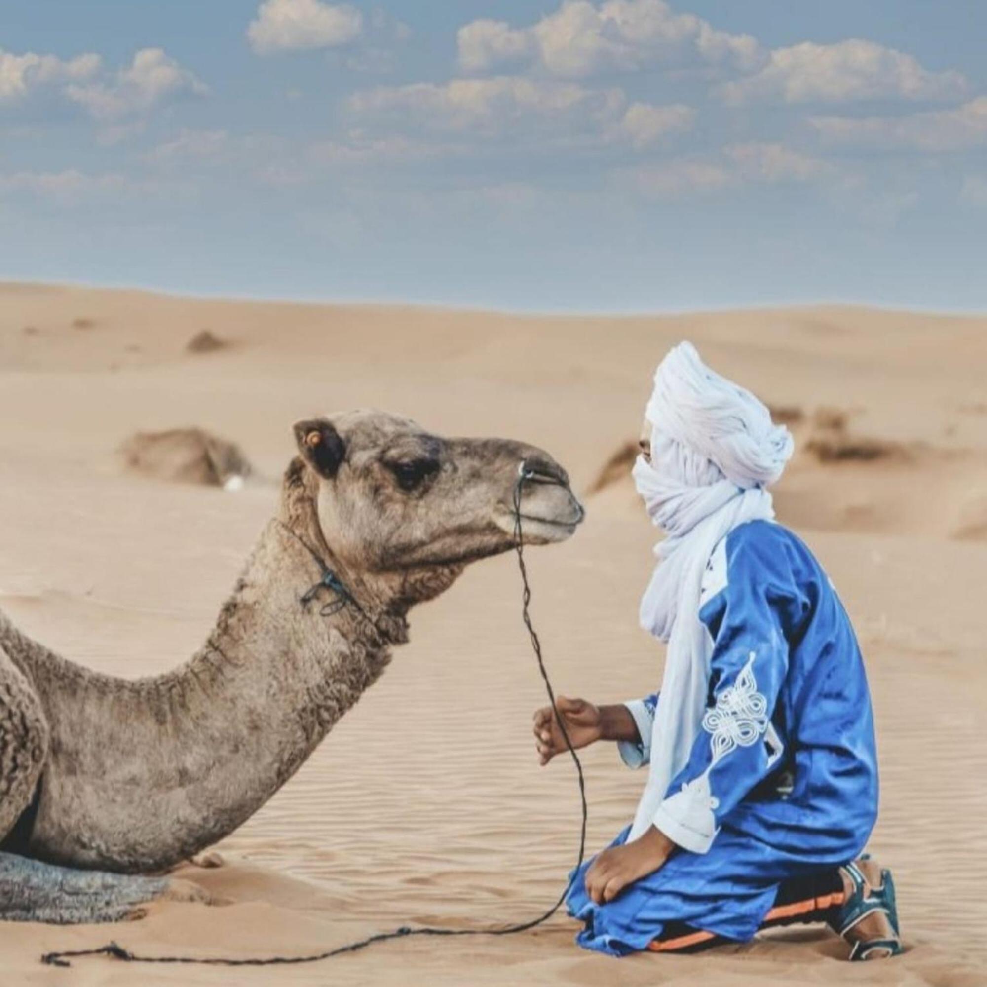 Unique Sahara Camp Hotel Мерцуга Екстериор снимка