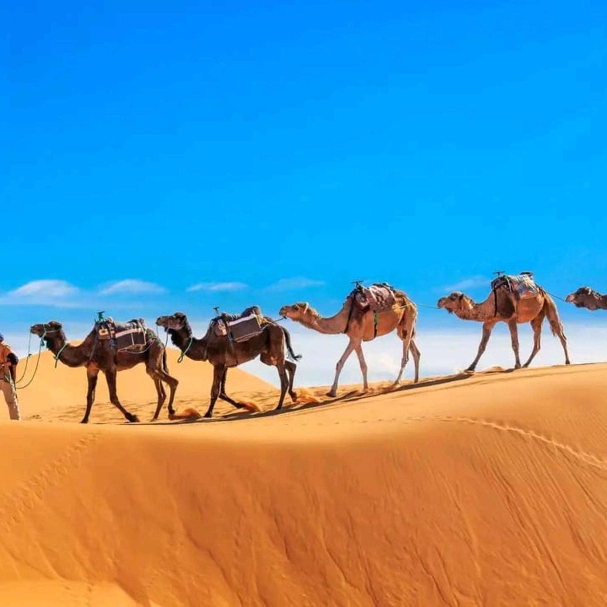 Unique Sahara Camp Hotel Мерцуга Екстериор снимка